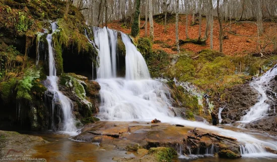 Екскурзия из дебрите на Странджа планина , остров 