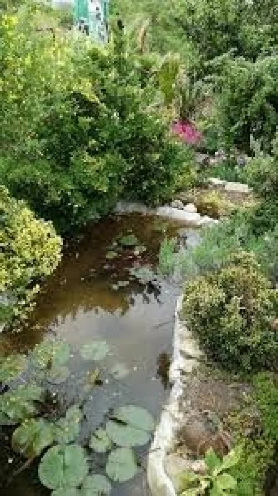 Екскурзия за Еньовден - празника на лековитите билки