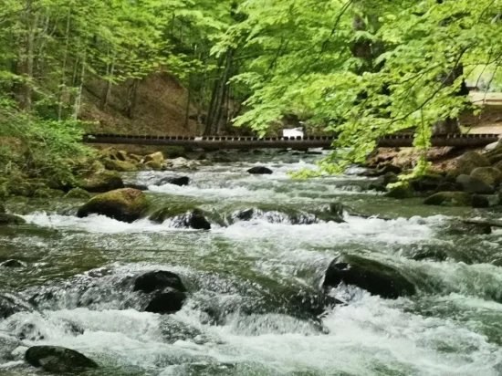 Екскурзия до Тетевен, Гложенски манастир, Събора на овцевъдите