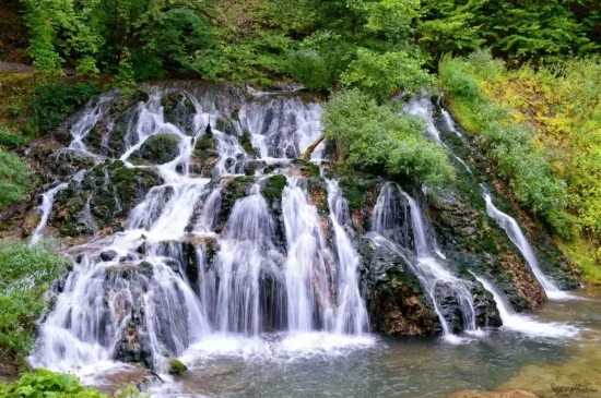 Екскурзия из дебрите на Странджа планина , остров 